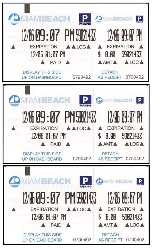 Free Beach Parking Ticket Template