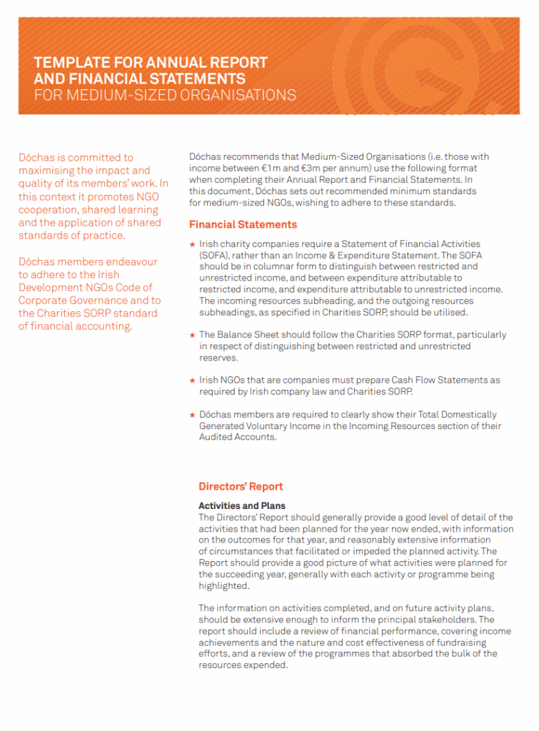 Annual Financial Report Template