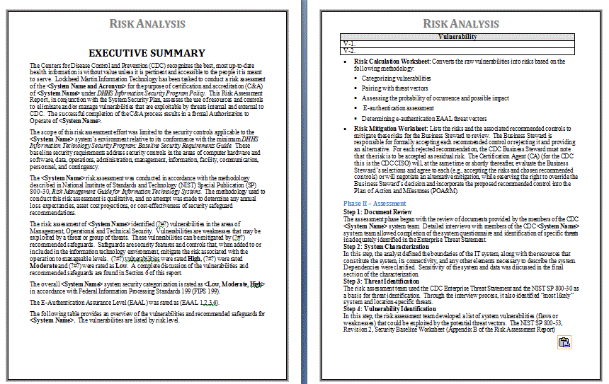 risk assessment report template